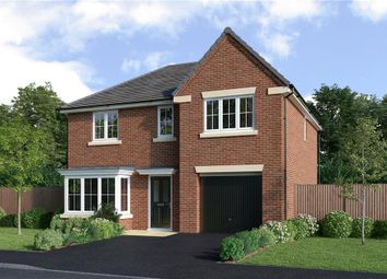 Thumbnail 4 bedroom detached house for sale in "The Maplewood" at Flatts Lane, Normanby, Middlesbrough