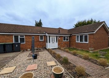 Thumbnail 2 bed detached bungalow to rent in Vanguard Close, Bedford