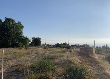 Thumbnail Land for sale in Tala, Paphos, Cyprus