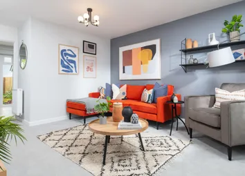 Showhome Photography