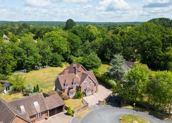 Thumbnail Detached house for sale in Forest View, Brockenhurst