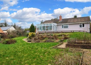 Thumbnail Bungalow to rent in Clatworthy, Taunton, Somerset