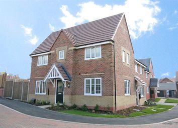 Thumbnail Semi-detached house to rent in Centenary Drive, Crick, Northamptonshire