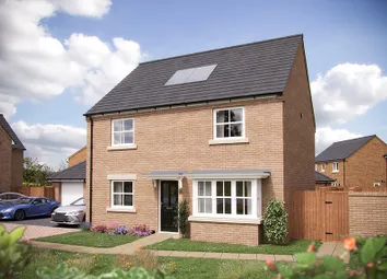 East Anglia_Millstone Park_Nash Plot 16_Web