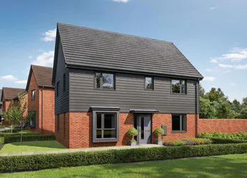 Artist's Impression Of The Plumdale