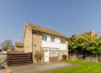 Find 3 Bedroom Properties To Rent In Worcester Park Zoopla