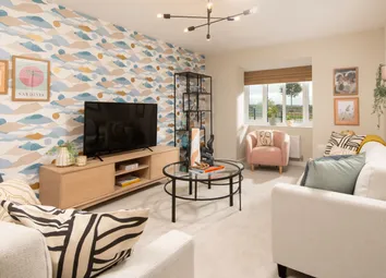 Showhome Photography