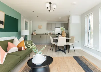 Open Plan Light Filled Interiors