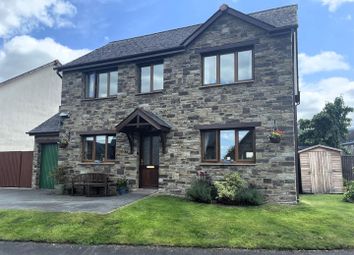 Img_8152.Jpg Main.Jpg