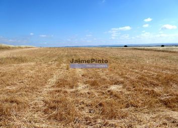 Thumbnail Land for sale in 570 000 Sq. m. Of Agricultural Land For Dry Farming, Portugal