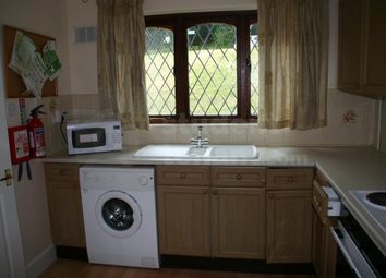1 Bedroom  for rent