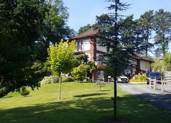 Thumbnail Detached house for sale in Lakeside Avenue, Llandrindod Wells