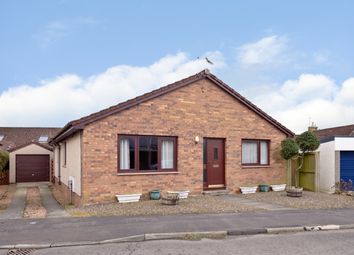 Thumbnail 3 bed detached bungalow for sale in Russell Gardens, Ladybank
