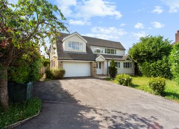 Thumbnail Detached house to rent in Court Road, Maidenhead