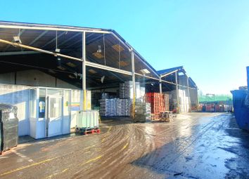 Thumbnail Industrial to let in Warehouse 2B, Rippleside Commercial Estate, Ripple Road, Barking