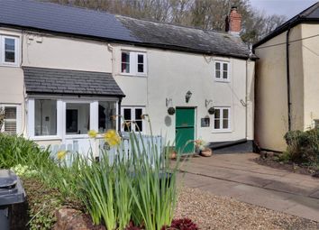 Thumbnail Terraced house to rent in Belle Vue, Roadwater, Somerset