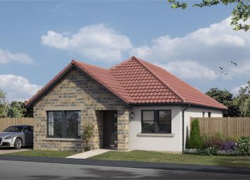 Thumbnail Detached bungalow for sale in Shaw Feature, Easy Living Developments, Plot 055, Kings Meadow, Coaltown Of Balgonie