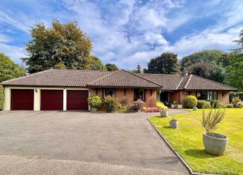 Thumbnail Detached bungalow for sale in Hall Road, Hemsby, Great Yarmouth