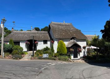 Thumbnail Pub/bar for sale in Steep Hill, Maidencombe, Torquay