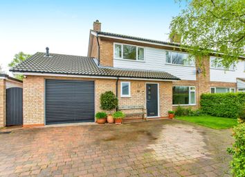 Thumbnail Semi-detached house for sale in Greenfields, Eltisley, St. Neots