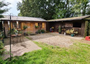 Thumbnail Equestrian property for sale in Hambrook Hill North, Hambrook, Chichester