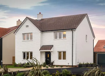 Dandara - Zoopla -