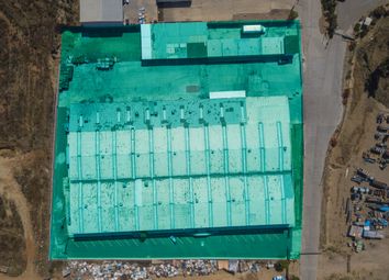 Thumbnail Warehouse for sale in Paso Del Águila, Paso Del Águila, MX