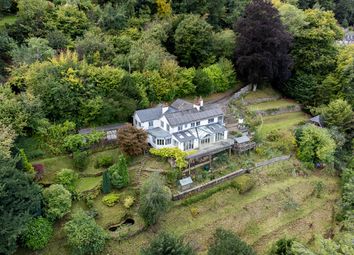 Rockbourne-53