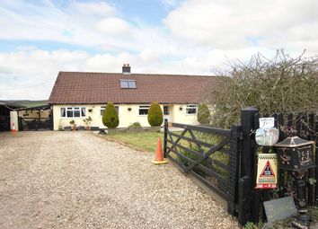 Holsworthy - Detached house for sale              ...