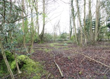 Thumbnail Land for sale in Land At Trafalgar House, Old Park Road, Swarland, Northumberland