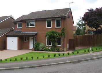Thumbnail Property to rent in Chepstow Close, Worth, Crawley