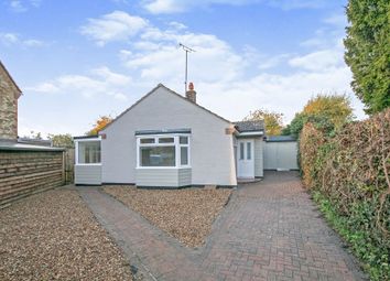 Thumbnail Detached bungalow to rent in Kreswell Grove, Dovercourt, Harwich