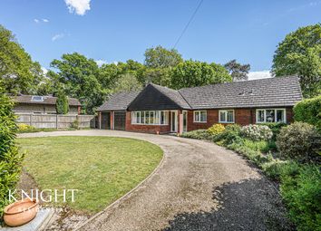 Thumbnail Detached bungalow for sale in Stanway Green, Stanway, Colchester