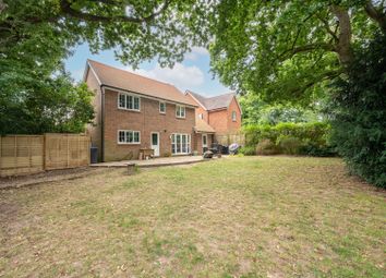 Thumbnail 4 bed detached house for sale in Sycamore Drive, Burgess Hill