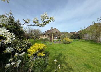Thumbnail Detached bungalow for sale in Ham Meadow, Marnhull, Sturminster Newton
