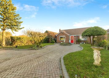 Thumbnail Bungalow for sale in Chequers Green, Great Ellingham, Attleborough, Norfolk