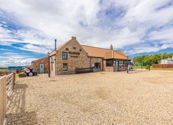 Thumbnail Commercial property for sale in Allerdean, Berwick Upon Tweed
