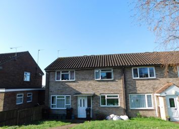 Thumbnail Semi-detached house to rent in Forest Road, Colchester, Essex