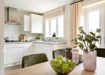 Open Plan Kitchen Diner To Cook And Eat