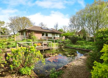 Thumbnail Bungalow for sale in Wellingham Lane, Ringmer, Lewes, East Sussex