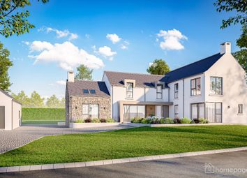 Thumbnail Detached house for sale in 5 Mill Manor, Loughan Road, Coleraine