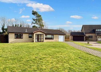 Thumbnail Bungalow for sale in Lumley Drive, Peterlee
