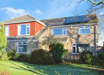 Thumbnail Detached house for sale in Springfield, Ovington, Prudhoe