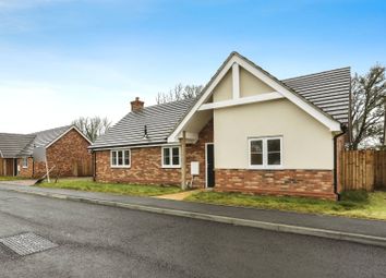 Thumbnail Bungalow for sale in Crowcroft Meadow, The Redwing, Crowcroft Road, Nedging Tye, Ipswich