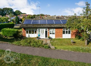 Thumbnail 4 bed detached bungalow for sale in The Street, Rockland St. Mary, Norwich