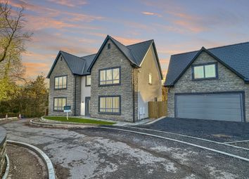 Thumbnail Detached house for sale in The Paddock, Caerphilly