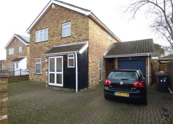 4 Bedroom Detached house for rent