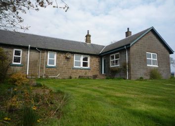 Thumbnail Detached house to rent in Dronley Road, Muirhead, Angus