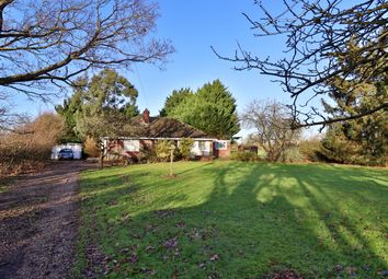 Thumbnail Detached bungalow for sale in Ipswich Road, Pulham Market, Diss