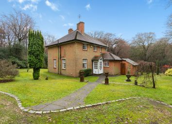 Thumbnail Detached house for sale in Sheephouse Lane, Abinger Common, Dorking, Surrey
